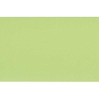 W63227 Aquatic Green 30x60 cm Gol. B W63227 Aquatic Green 30x60 cm Gol. B